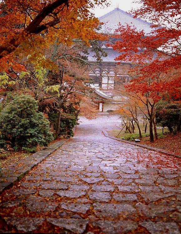 東大寺　大仏殿　紅葉_c0108146_2145861.jpg