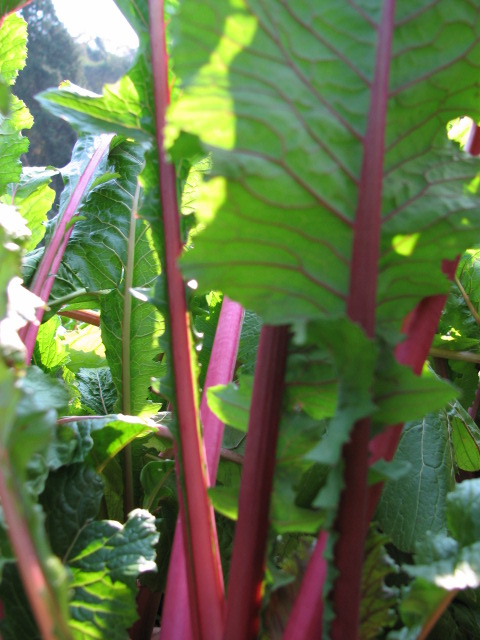 c0127548_2329814.jpg