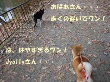 2回目の宝ヶ池はデート♪_c0049950_22333493.jpg
