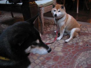 2回目の宝ヶ池はデート♪_c0049950_231501.jpg