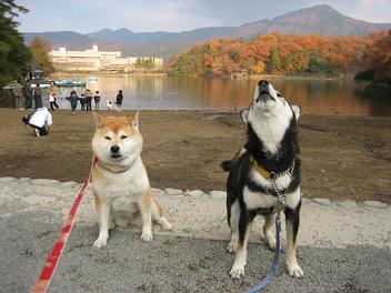 2回目の宝ヶ池はデート♪_c0049950_2363948.jpg