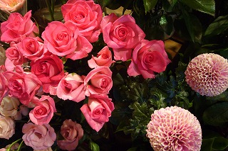 a0086555_23561319.jpg