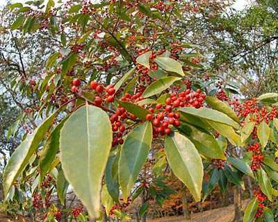 e0035757_03919.jpg