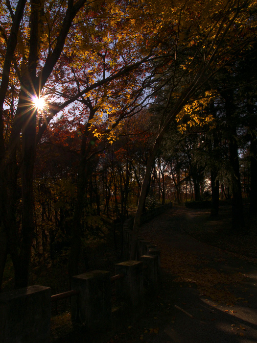 f0036357_17182214.jpg