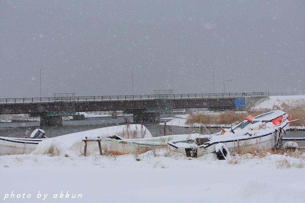 こちらもとう～とう～雪景色だすよ～_a0039860_19502010.jpg