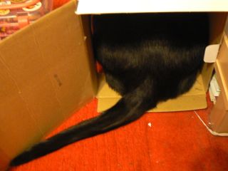 c0121264_9281570.jpg