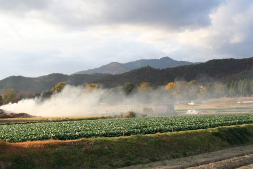 大覚寺・大沢池にて_b0055171_17153496.jpg