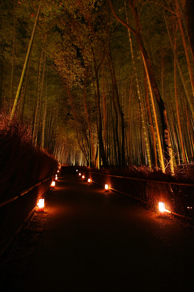 嵐山花灯路2007　-嵯峨野竹林-_e0051888_16134822.jpg