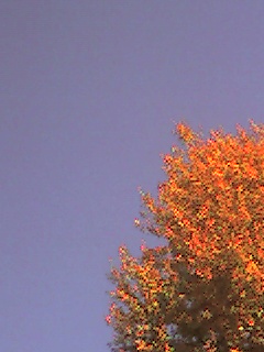 a0065800_23495920.jpg