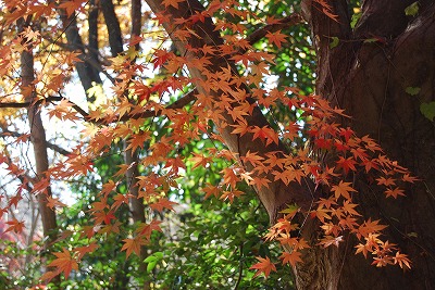 c0124100_15163459.jpg