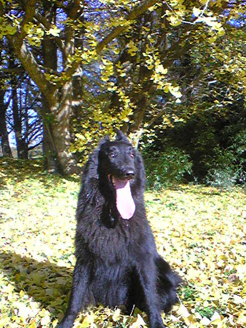 f0109202_23303663.jpg