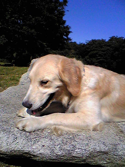f0109202_23323042.jpg