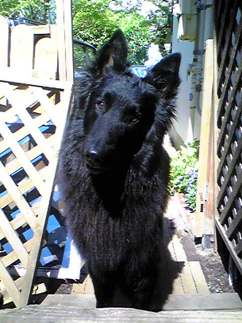 f0109202_2333499.jpg