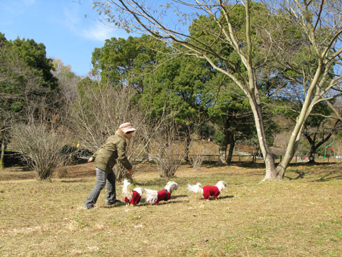 12月10日・相模湖ピクニックランド_c0011204_21592037.jpg