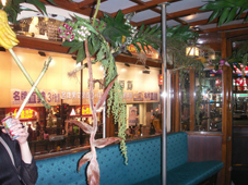 香港の旅2007.11~その4_c0129404_20505786.jpg