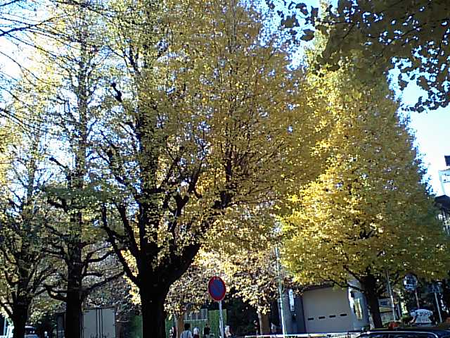 d0054704_0185591.jpg