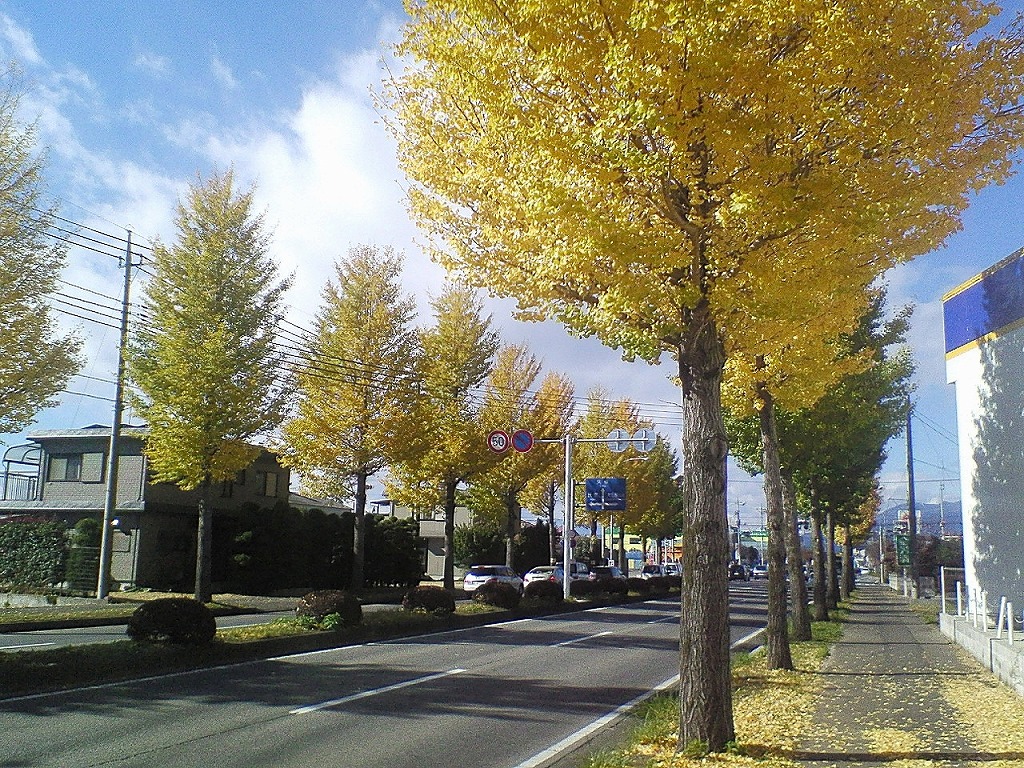 c0153412_21203641.jpg