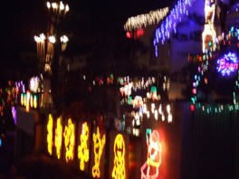 f0083021_1031611.jpg
