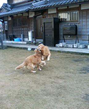 はぴばーすでい、。_e0065928_1154047.jpg