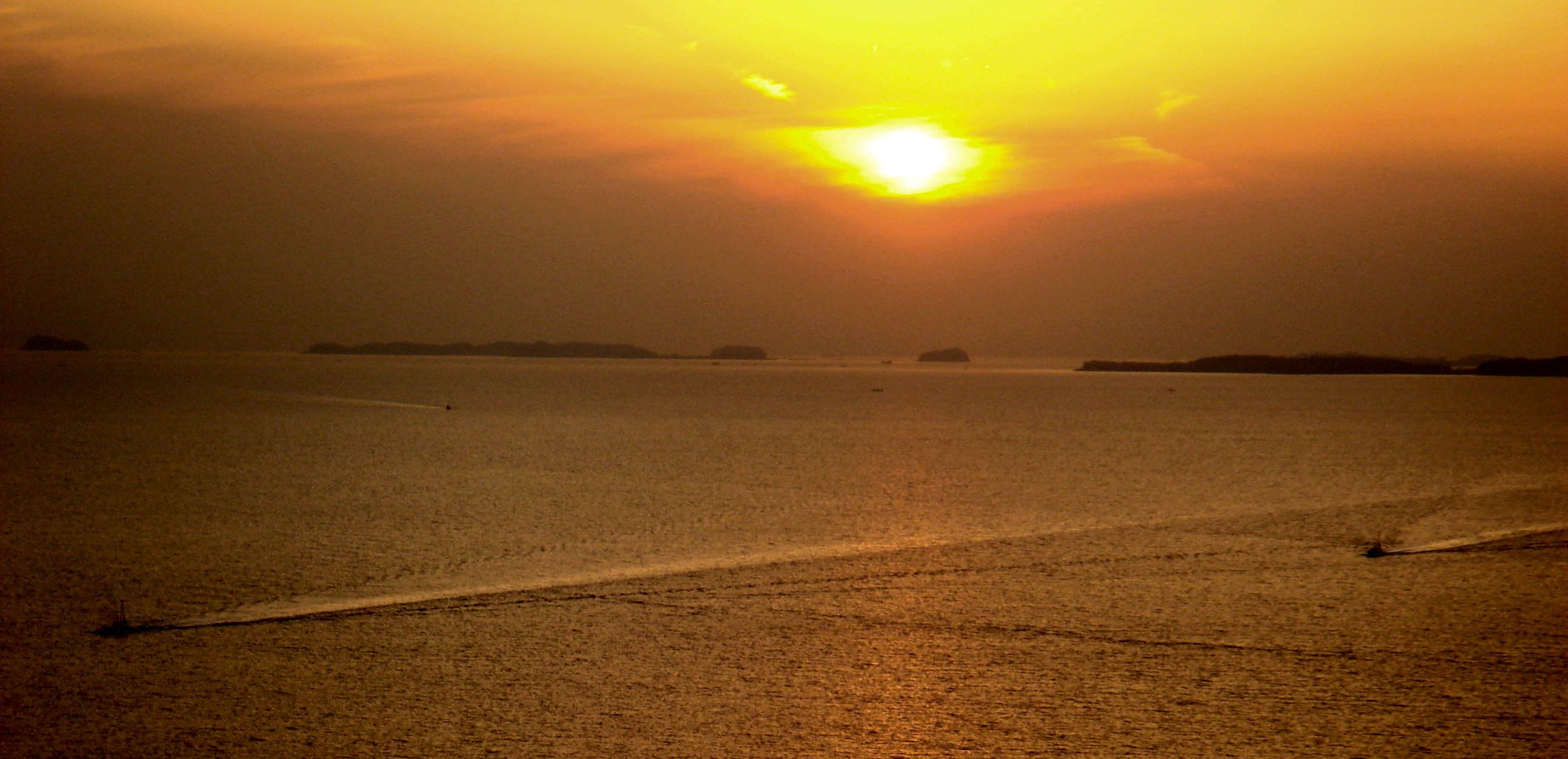d0118729_20233583.jpg