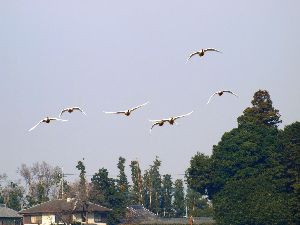 f0032335_18122197.jpg