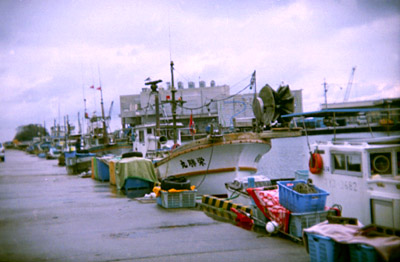 e0039640_1841937.jpg