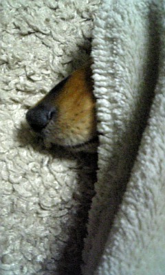 e0004846_2133498.jpg