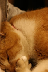 f0153646_3103590.jpg