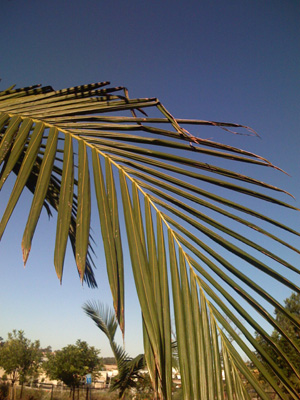 d0114149_924223.jpg