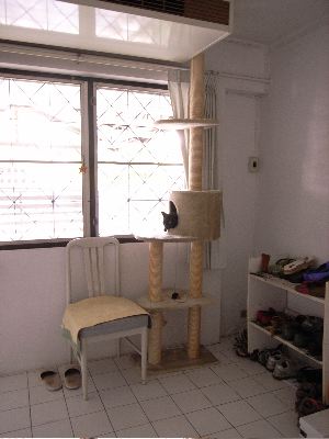 f0085850_0574060.jpg