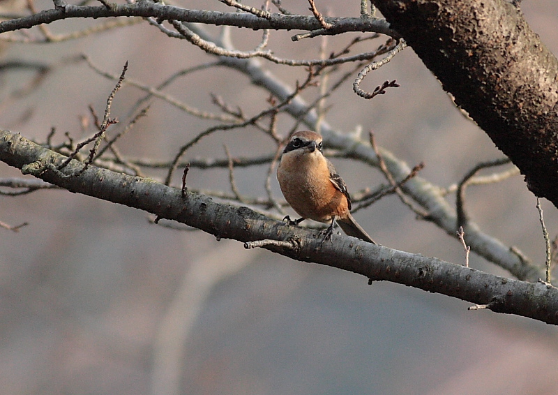 Ｔ山公園にて_c0114159_2129226.jpg