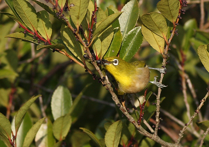 Ｔ山公園にて_c0114159_21295114.jpg