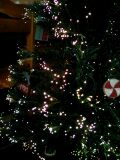 c0133360_11282962.jpg