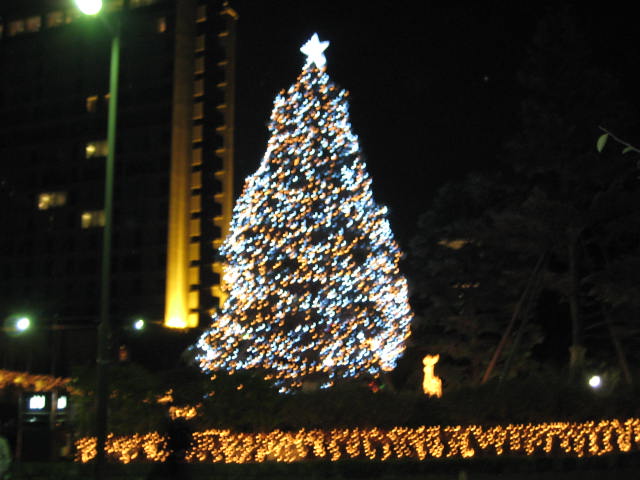 e0116960_23822.jpg