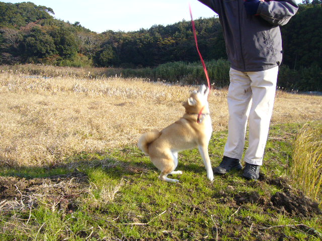 2007年12月11日(火)愛ちゃんの反逆!_f0060461_13302371.jpg