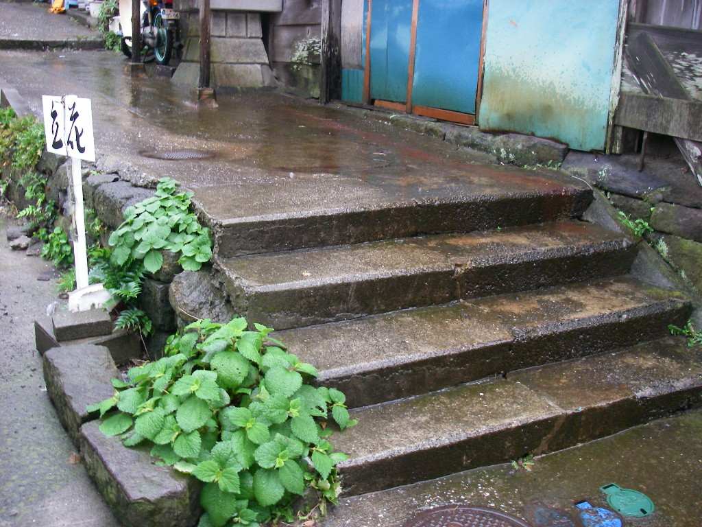 三崎　雨の路地を歩く_c0082066_7281386.jpg