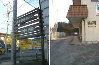 木槿 (むくげ)さん_d0129766_1592015.jpg