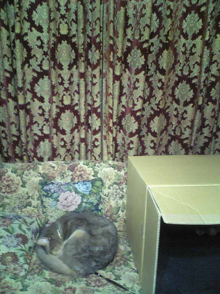 e0087470_1526659.jpg