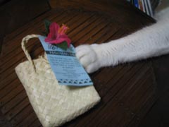 c0020478_23271010.jpg