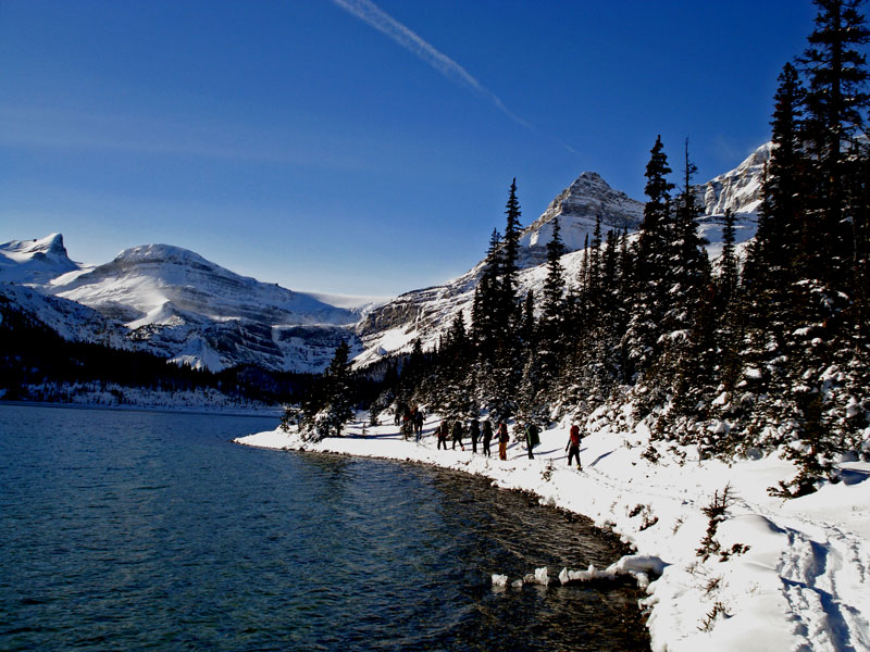 b0110880_11322897.jpg