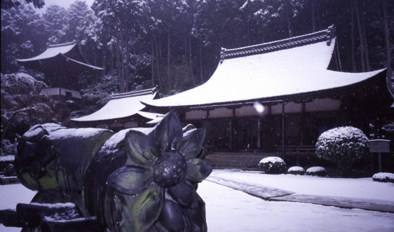 西国観音巡礼 <第31番 姨綺耶山 長命寺>_a0045381_6534473.jpg