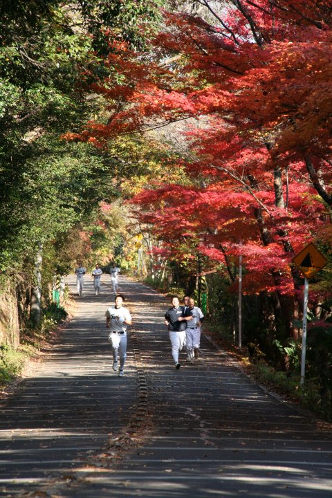 金華山ドライブウェーの紅葉 親父のデジカメ写真日記