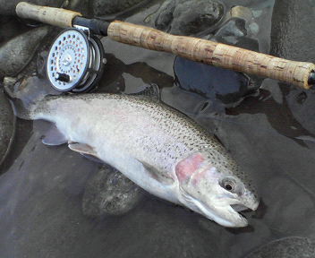 c0157482_13143246.jpg