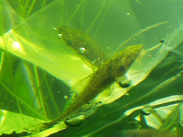 c0102086_02632.jpg