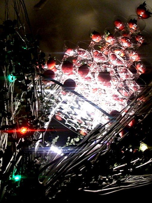 c0123990_1902894.jpg