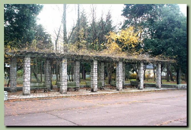 f0079990_1032421.jpg