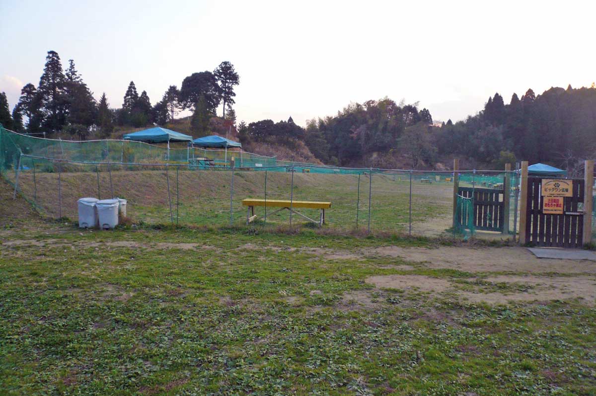 c0128896_18574623.jpg