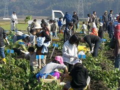 観音寺イベント　その３_e0093407_20404139.jpg