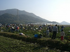 観音寺イベント　その３_e0093407_20434934.jpg