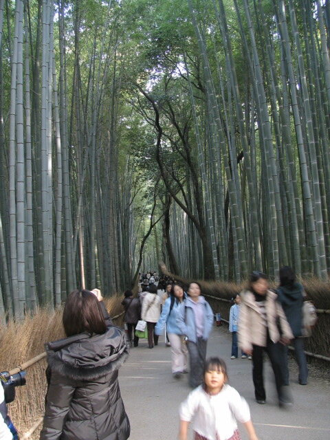 b0118511_0251559.jpg